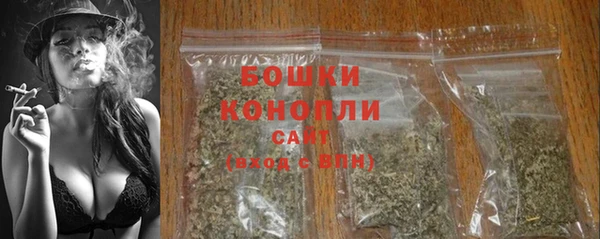 ПСИЛОЦИБИНОВЫЕ ГРИБЫ Богородицк