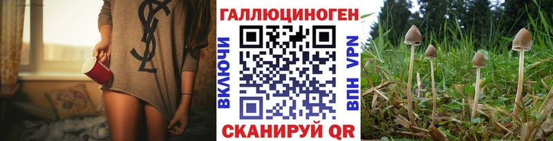 Галлюциногенные грибы мухоморы  дарнет шоп  omg tor  Дмитров 